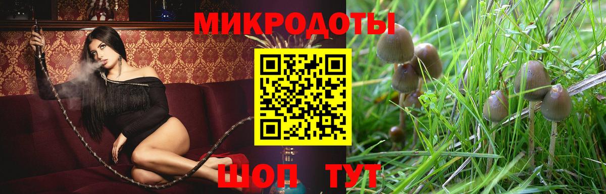Губаха  цены   Вход с VPN  Псилоцибиновые грибы Cubensis 