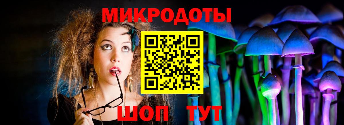 Галлюциногенные грибы прущие грибы Губаха