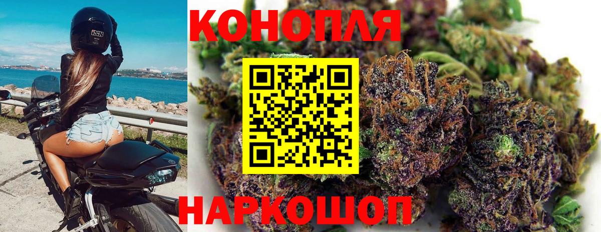 Шишки марихуана AK-47 Губаха